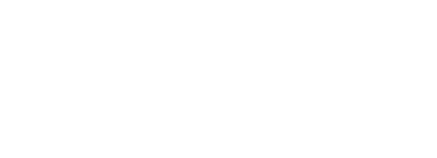 Lic studio